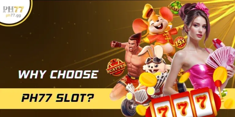 Giấy phép hoạt động
